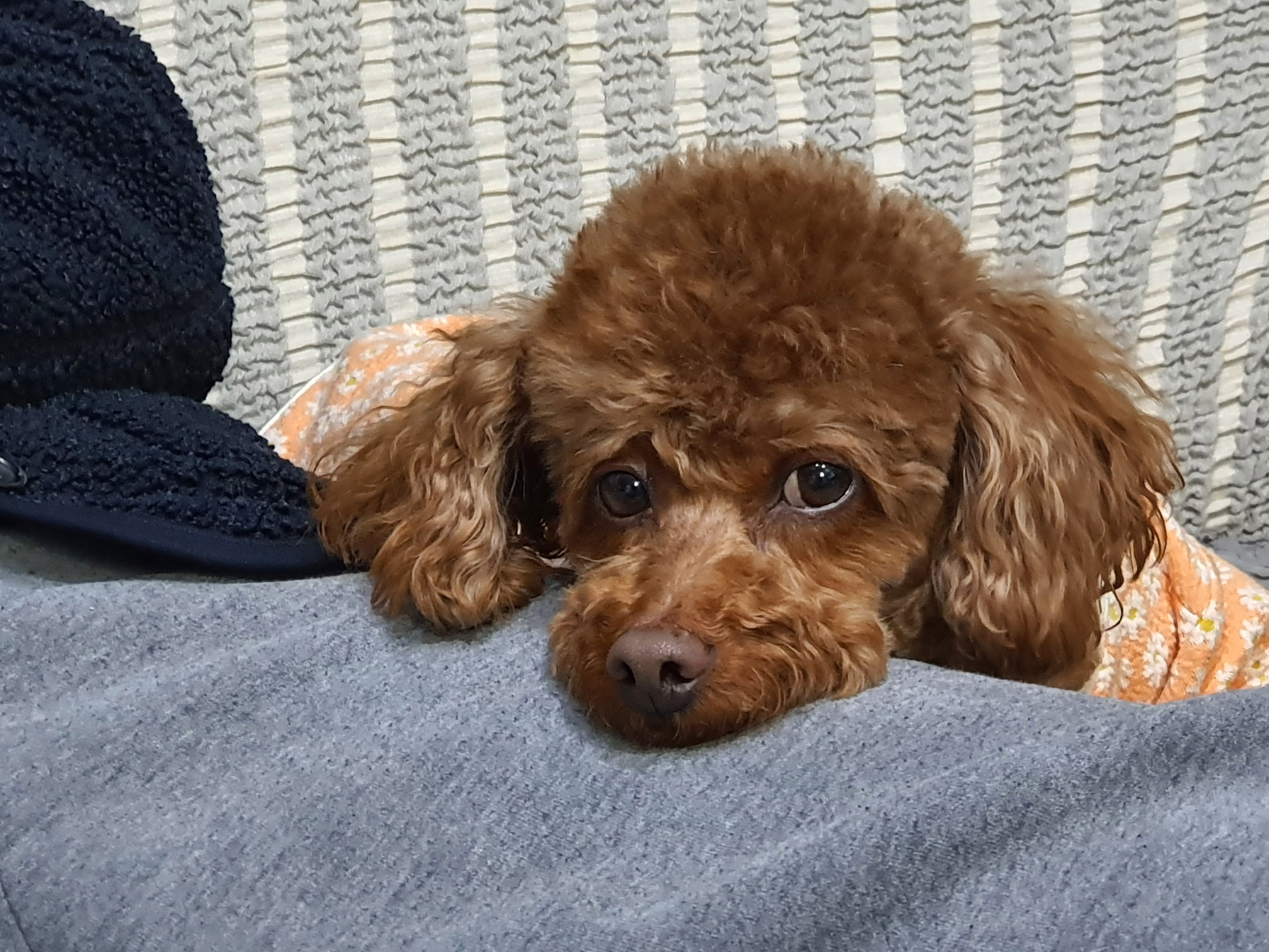 우리마을 오픈채팅 입장